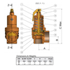 High Lift Safety Valve 3.7 bar DN 25