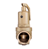 High Lift Safety Valve 3.7 bar DN 25