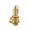 High Lift Safety Valve 3.7 bar DN 25